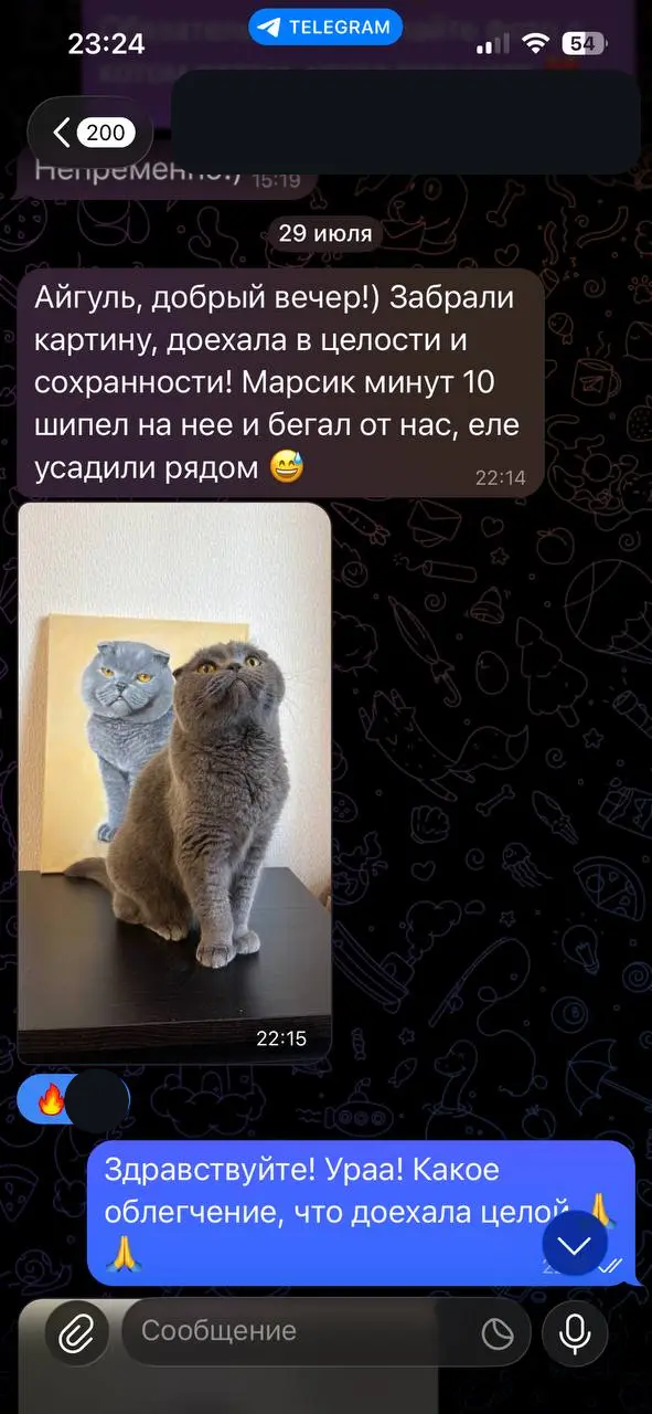 Скриншот отзыва заказчика о портрете кота